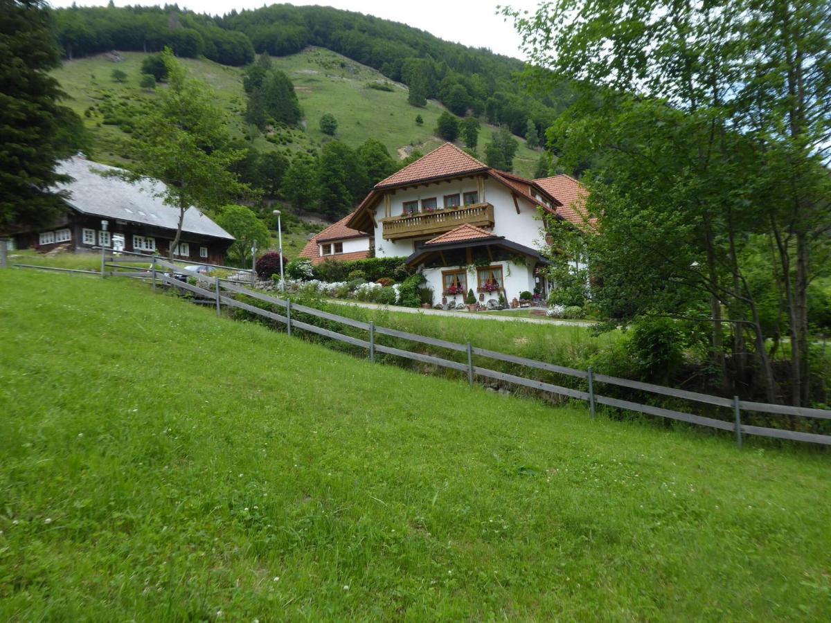 Apartment In Brandenberg With Terrace Todtnau Kültér fotó